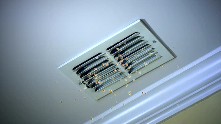 Best Professional Duct Cleaning Services  in Garner, IA