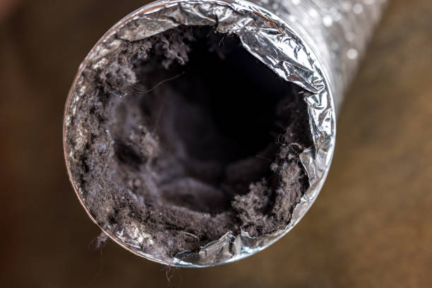 Best Best Air Duct Cleaning Company  in Garner, IA